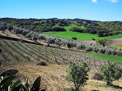 Finca/Casa Rural en venta en Ronda, Málaga