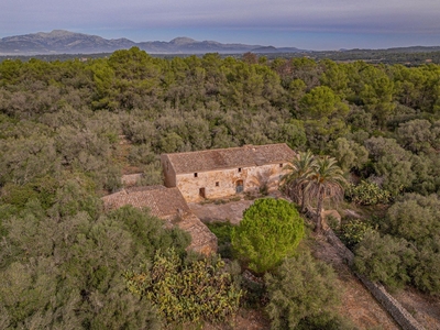Finca/Casa Rural en venta en Sencelles, Mallorca