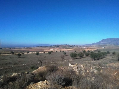 Solar/Parcela en venta en Torre del Rico, Jumilla, Murcia