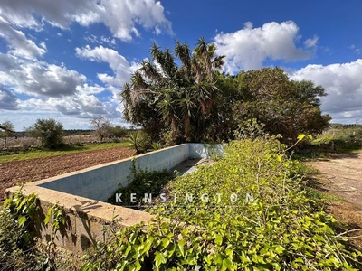 Manacor finca en venta