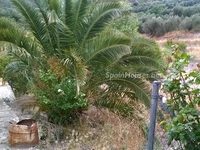 Finca en venta en Quesada