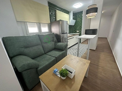 Piso en alquiler en Casco Antiguo - Centro de 1 habitación con muebles y aire acondicionado