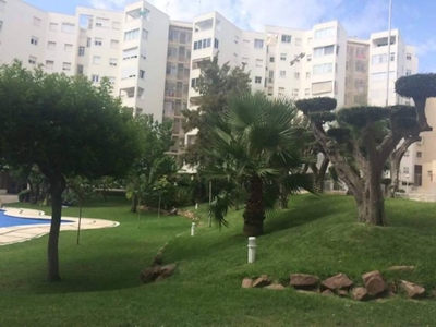 Venta Piso Alicante - Alacant. Piso de tres habitaciones Buen estado primera planta con terraza