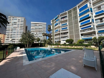 Venta Piso Benidorm. Piso de dos habitaciones Buen estado con terraza