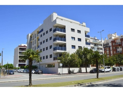 Venta Piso Murcia. Piso de dos habitaciones en Avenida Avenida de la Marina Española. Nuevo primera planta con terraza