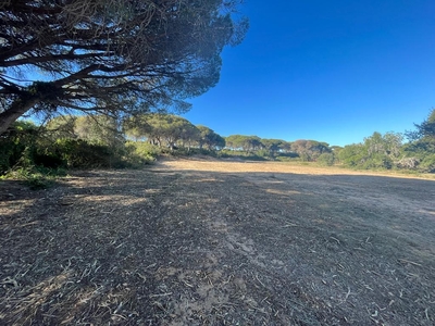 Terreno en venta en Chiclana de la Frontera de 4470 m2