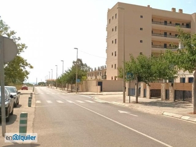 Alquiler casa piscina Torreblanca