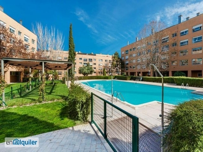 Alquiler piso trastero y piscina Madrid