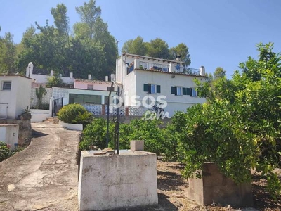 Finca rústica en venta en Marjal