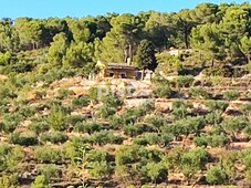 Casa rústica en venta en Calle Partida del Alamí