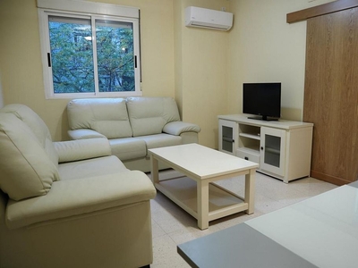 Alquiler de piso en Nuevo Cáceres de 1 habitación con garaje y muebles