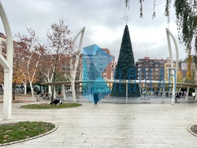 Piso de alquiler en Alameda Gregorio de la Revilla, Zona Indautxu