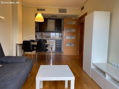 ALQUILER DE APARTAMENTO EN JUAN CARLOS I