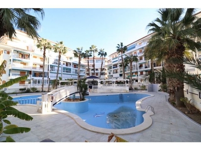 Apartamento en Viñamar IV La Mata