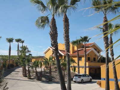 San Miguel De Salinas villa en venta