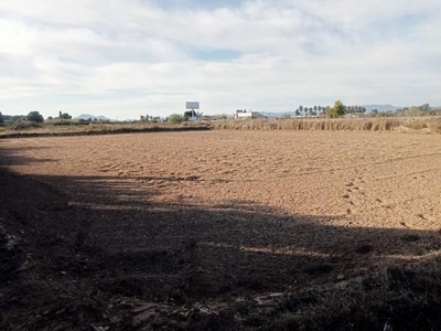 Country property for sale in Zona Pueblo, Guardamar del Segura
