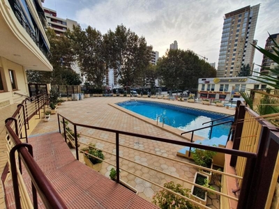 Premises for sale in Playa de Levante, Benidorm