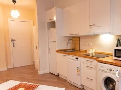 Apartamento en alquiler en Avenida de la Condesa Sagasta