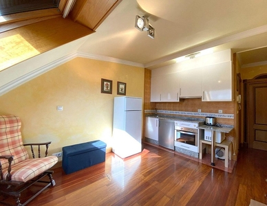 Alquiler de piso en Areal – Zona Centro de 1 habitación con muebles y balcón