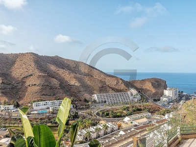 Piso en alquiler en avenida Roque del Este de 1 habitación con terraza y piscina