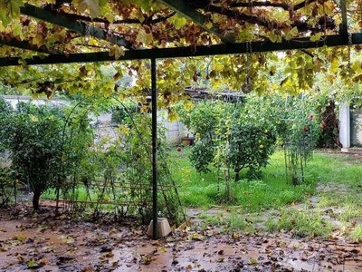 Adosado en San Pedro de Alcántara