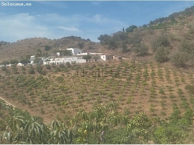 PRECIOSA FINCA EN ALMAYATE