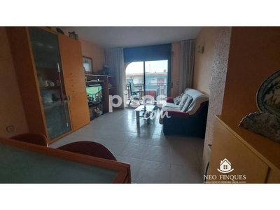 Piso en venta en Avenida Can Nicolau