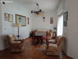 APARTAMENTO ALQUILER