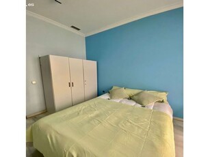 Habitación soleada con armario independiente en el apartamento compartido, Casco Antiguo