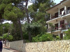 Alquiler apartamento en avinguda costa brava (“el cant del ocells” ) planta baja con 25 m2 jardin y vistas al mar en Calella de Palafrugell