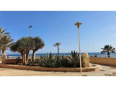 Alquiler Piso Almería. Piso de una habitación en Calle CAPRI. Buen estado cuarta planta con terraza