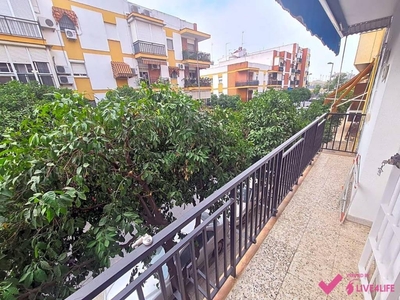 Alquiler Piso Sevilla. Piso de cuatro habitaciones en Calle Juan de Ledesma. Buen estado primera planta con terraza