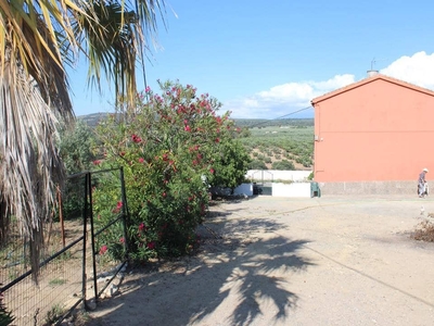Finca/Casa Rural en venta en Setenil de las Bodegas, Cádiz