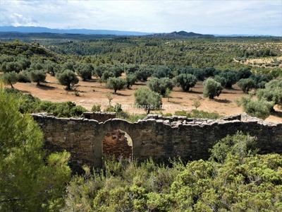 Finca en venta en Calaceite