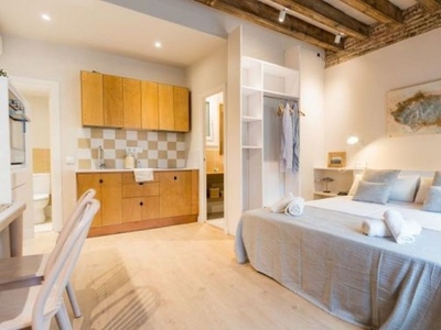 Alquiler de estudio en Sant Pere, Santa Caterina i la Ribera con muebles y aire acondicionado