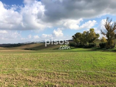 Finca rústica en venta en Medina Sidonia