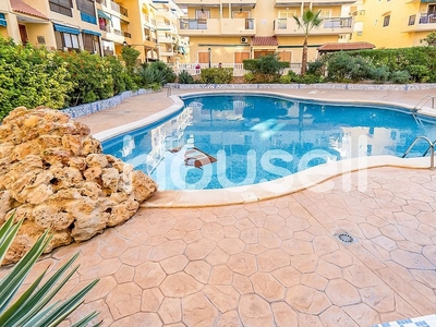 Venta de piso en Torrelamata - La Mata de 1 habitación con terraza y piscina