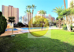 Apartamento en Benidorm