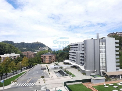 Piso en alquiler en calle Pío Baroja Pasealekua de 1 habitación con terraza y garaje