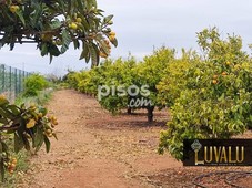 Finca rústica en venta en Poble de Benicarló