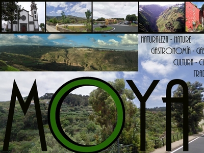 Moya (Las Palmas)