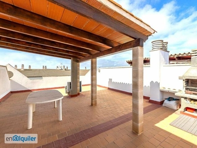 Alquiler piso con 2 habitaciones Salines (Ses)