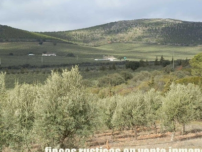 Finca rústica en venta en la Los Pozuelos' Los Pozuelos de Calatrava