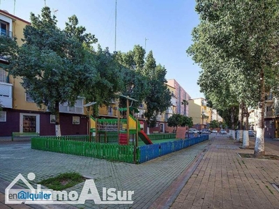 Alquiler piso terraza Sur