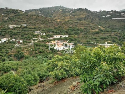 Finca rústica en venta en Núcleo