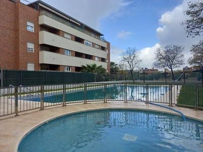Alquiler de piso con piscina y terraza en Mairena del Aljarafe, Nuevo Bulevar