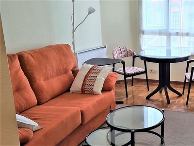 Alquiler de piso en Monte Alto - Zalaeta - Atocha de 1 habitación con garaje y muebles