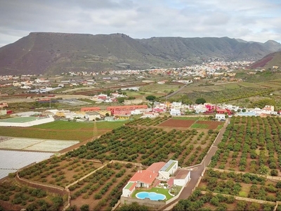 Finca en venta en Tegueste