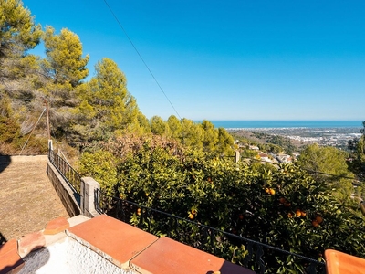 Oliva villa en venta