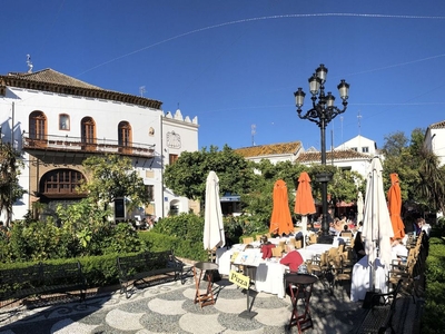 Marbella propiedad comercial en venta